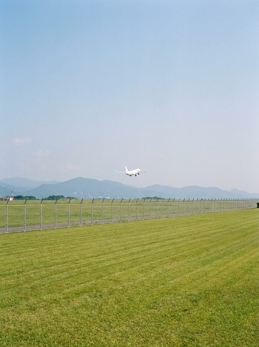 松山空港周辺の草刈り現場