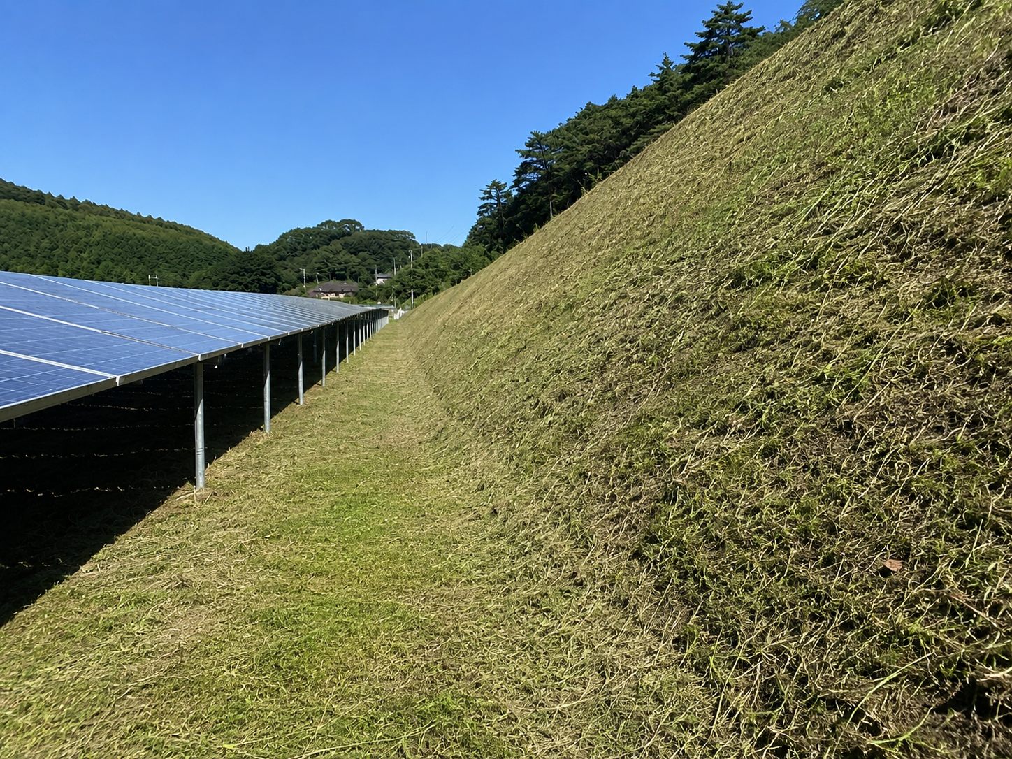 太陽光発電所の法面管理施工後